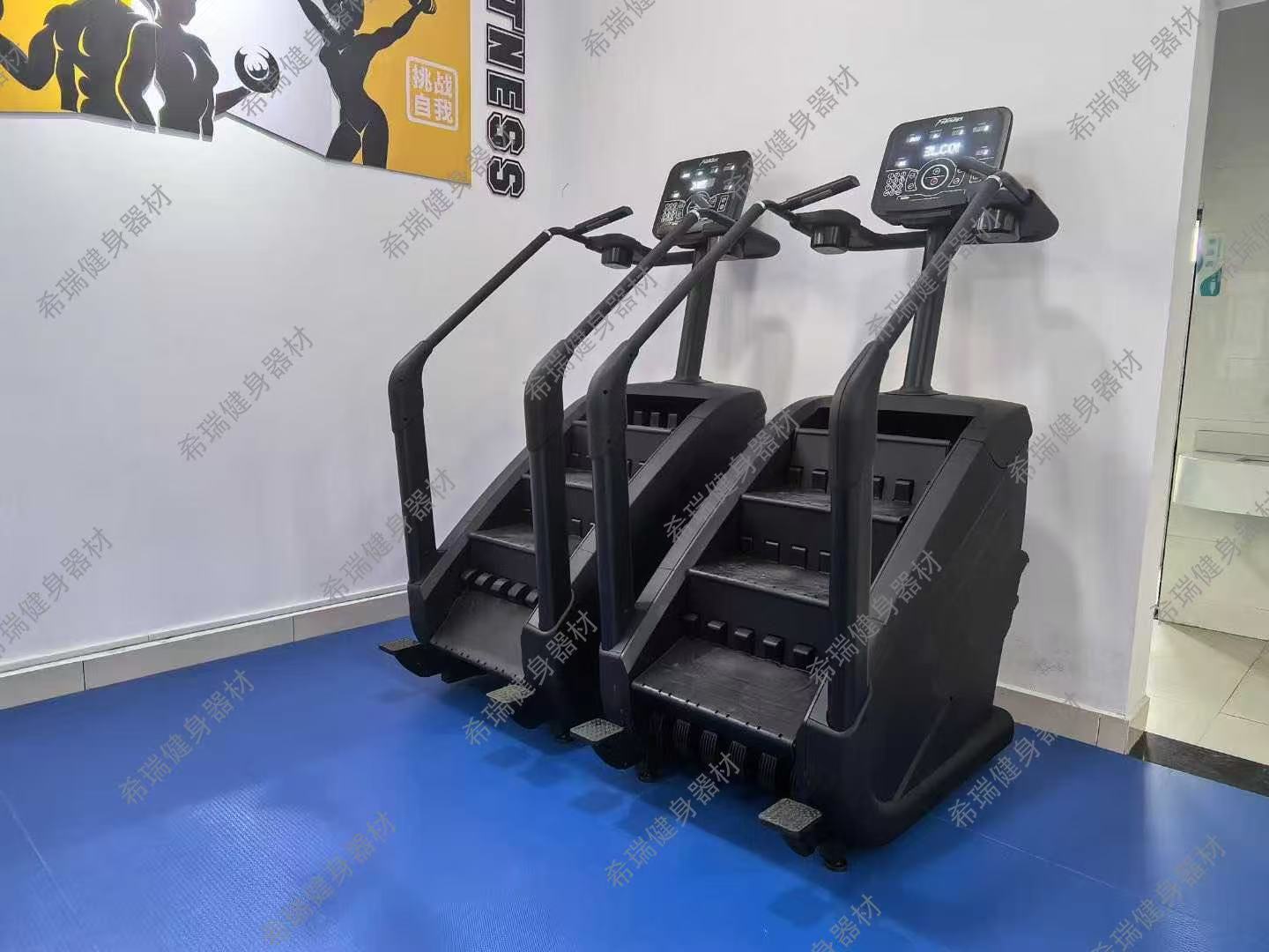 상업용 카디오 운동기구 스테어 마스터 계단 오르기 운동 - Home Gym Used 리뷰 및 가격