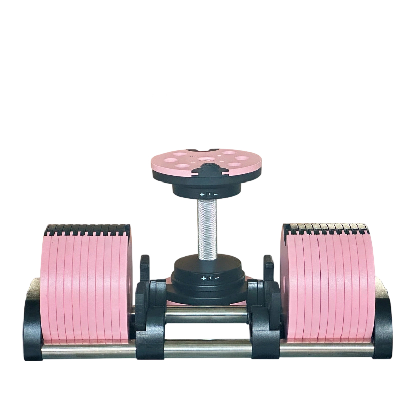 조절 가능한 38-50kg 홈짐 덤벨 올인원 디자인 맞 - Home Gym Custom 리뷰 및 가격
