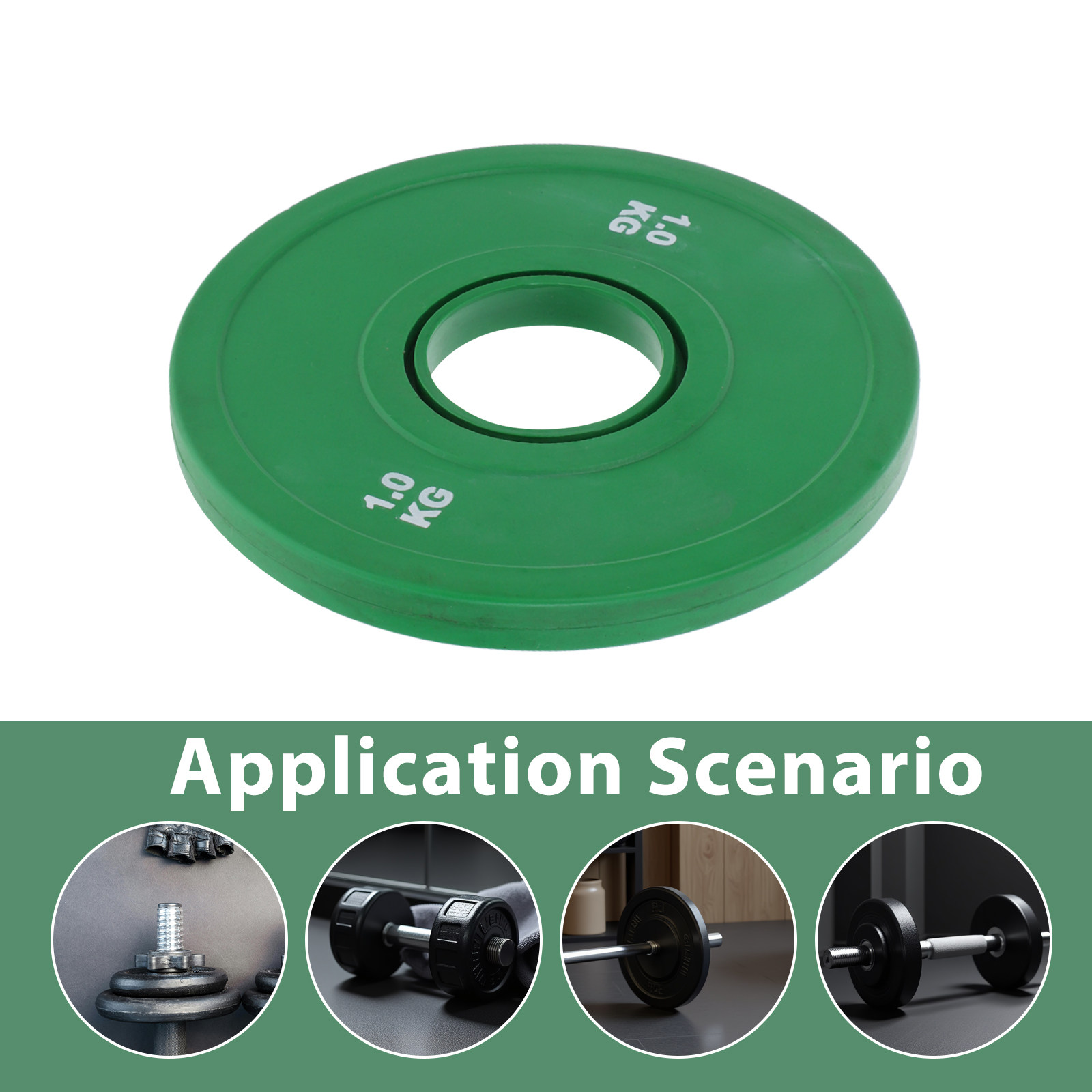 고무 웨이트 플레이트 바벨 1kg 컬러 트레이닝 범퍼  - Weight Plate Bumper 리뷰 및 가격