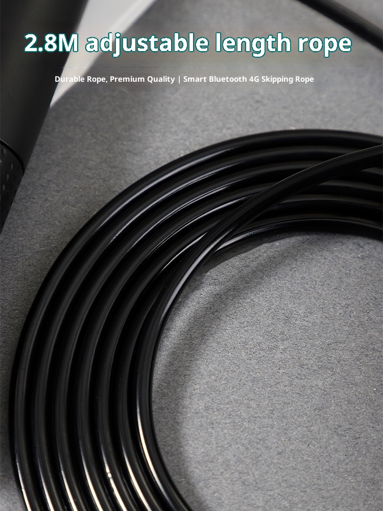 EE 고품질 ABS 소재 이중 베어링 스틸 와이어 경량 - Jump Rope Bearing 리뷰 및 가격
